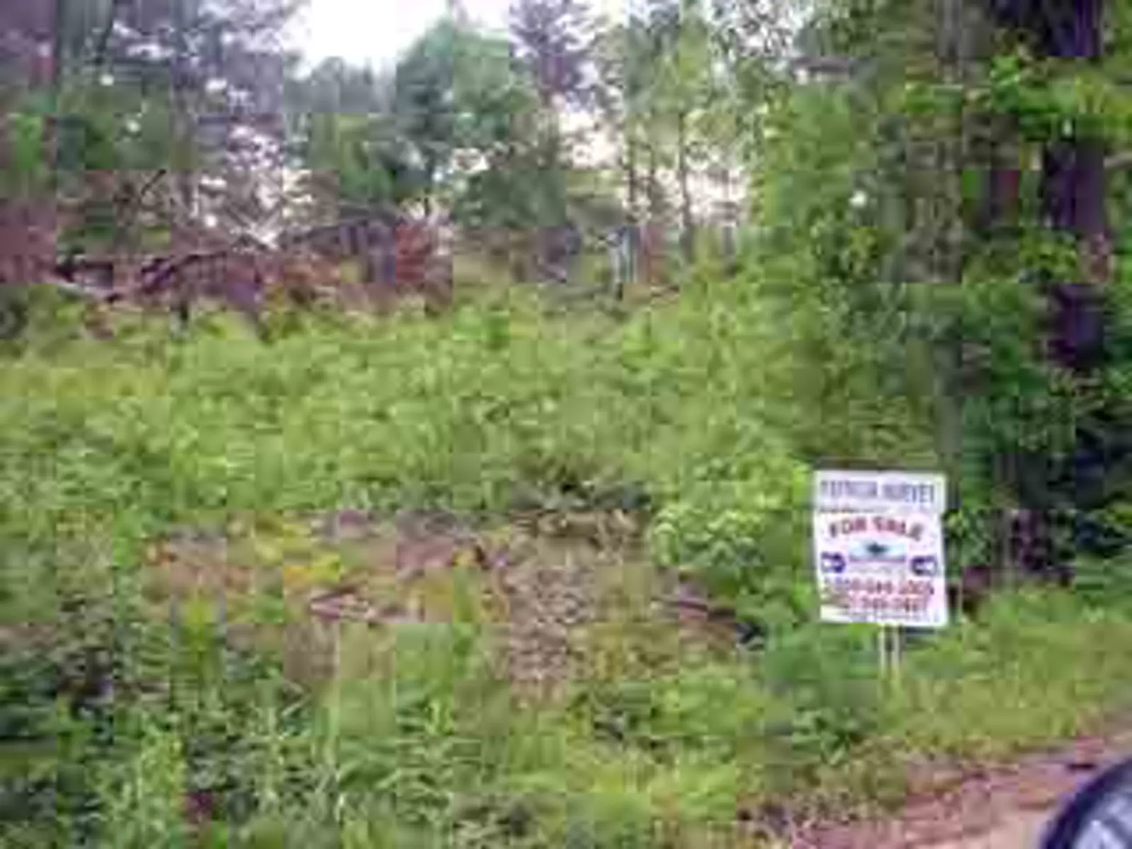 Lot 5 on Shamrock Drive Skipper Realty and Insurance