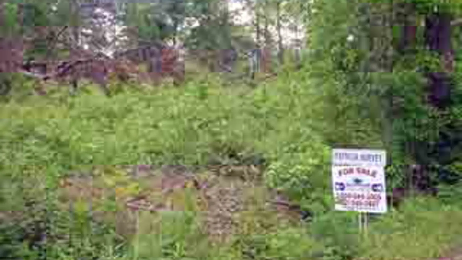 Find a property Skipper Realty and Insurance